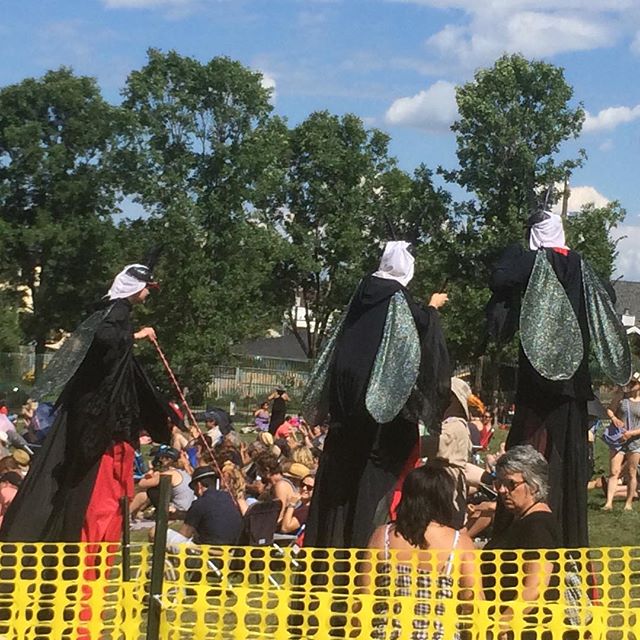 Don't forget to wear bug spray at the @edmfolkfest. Lots of skeeters out.