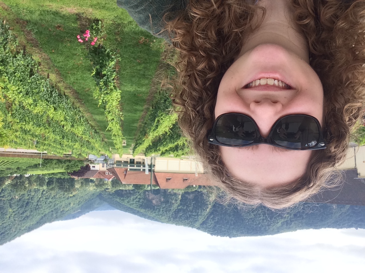 Greetings from wine (Wachau).