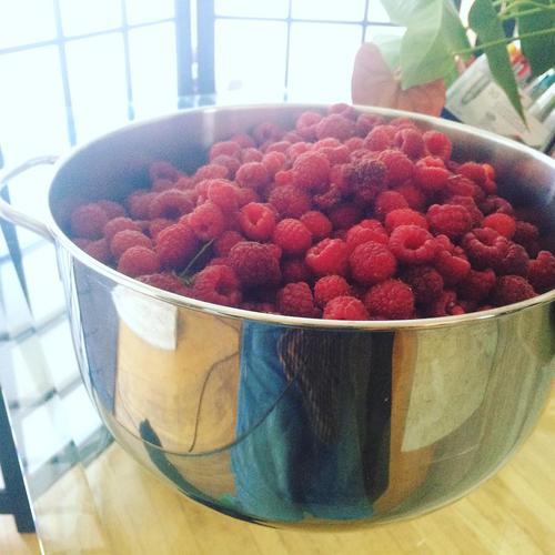 Harvest time.