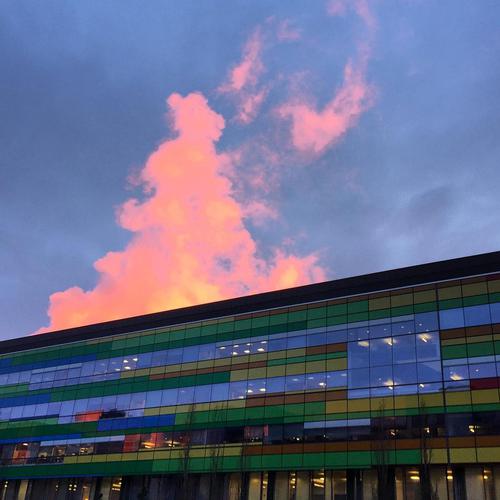 UofA looking all pretty at sunset 🌅 a rainbow building with neon clouds. . . . #yeg #yegphoto #alberta #canada