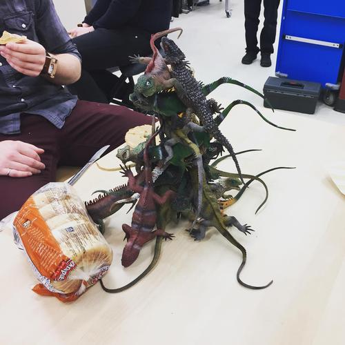 Meanwhile in the BLINC lab: a bag of San Franciscan street lizards 🦎