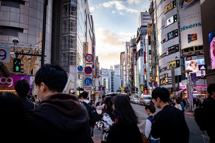Day 1: Shibuya Crossing