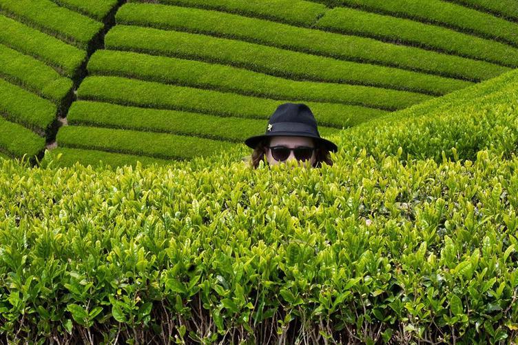 Photograph of the the moment I consider giving it all up to become a tea-farmer. Maren recommended coming to...