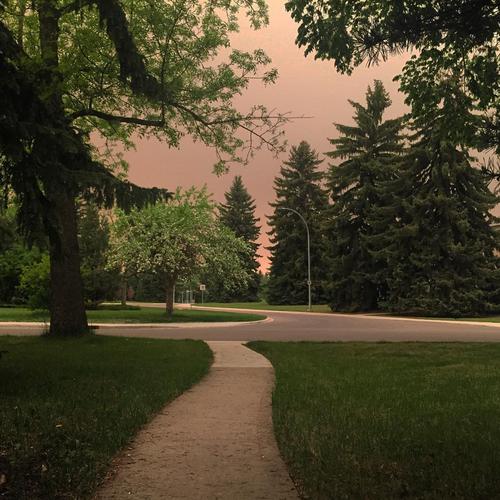 It is noon, and the smoke blanketing Edmonton is so thick that it feels like sunset. #yeg