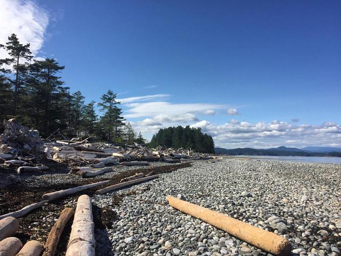 Hanging out on Quadra island before we put in tomorrow 🚣🏼‍♀️ with all the driftwood on the beach, I’m really tempted...