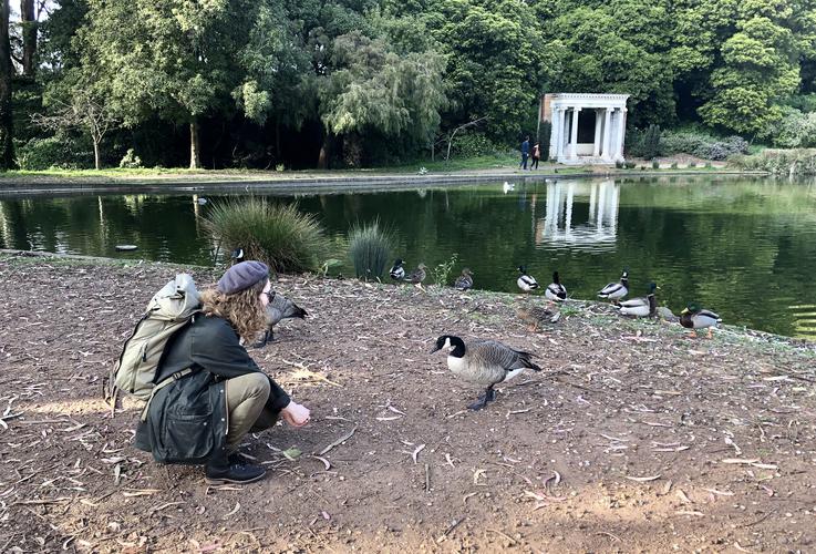 I met some of my Canadian neighbors on a walk through golden gate park. Seems like I’m not the only one escaping the...
