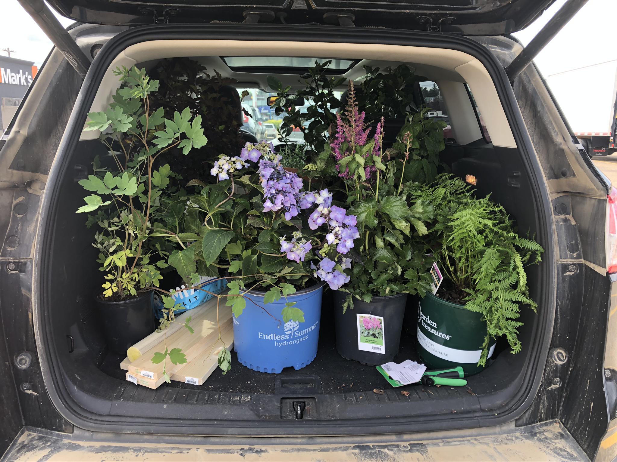 Working on the garden
