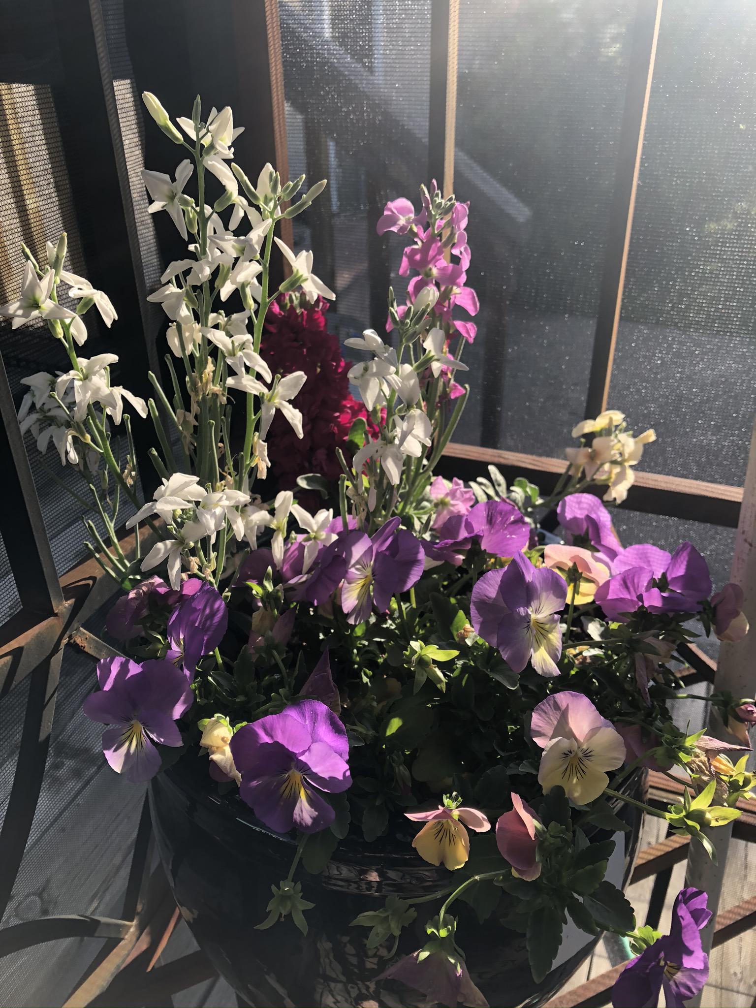 Working on the garden