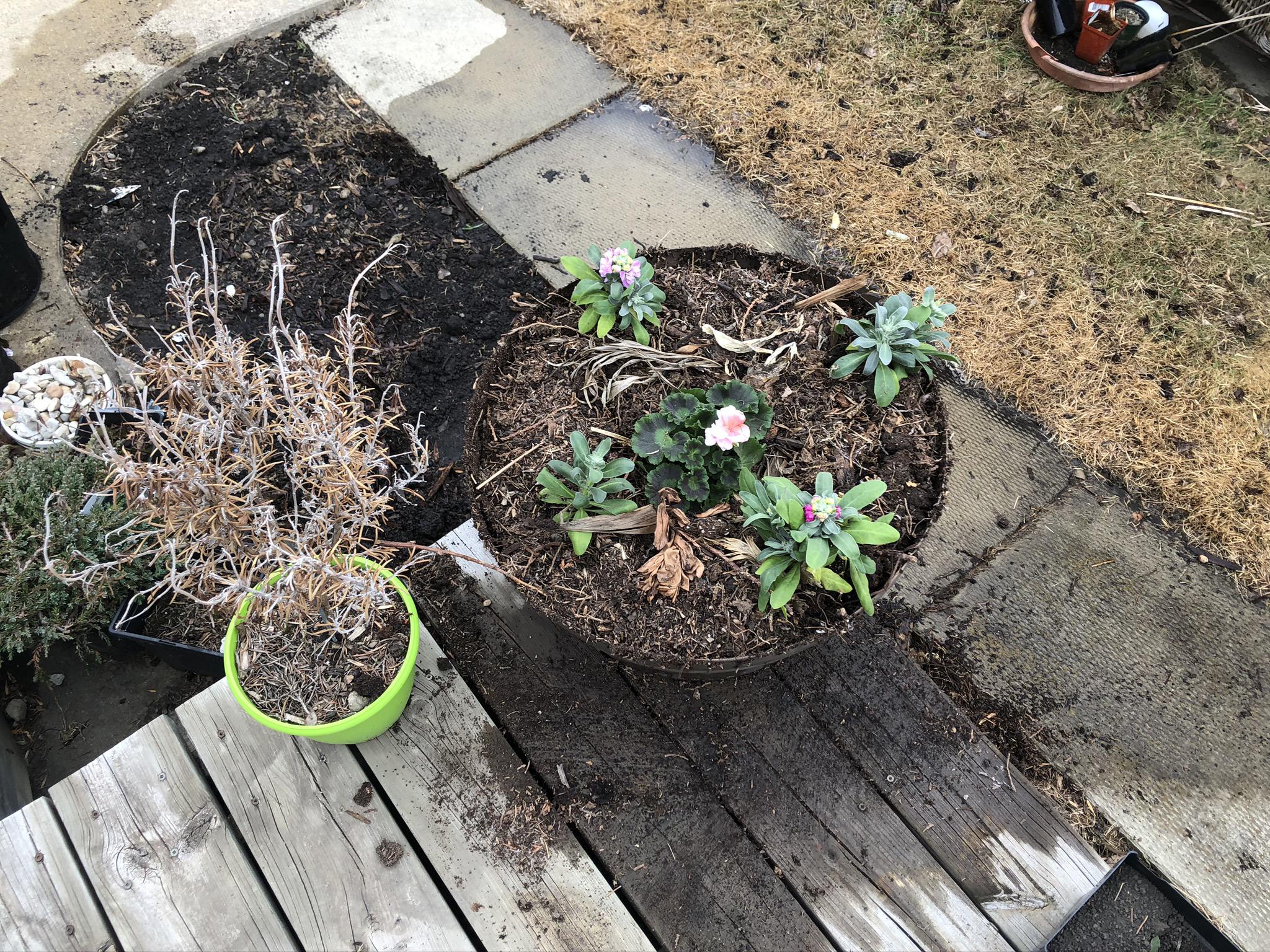 Working on the garden