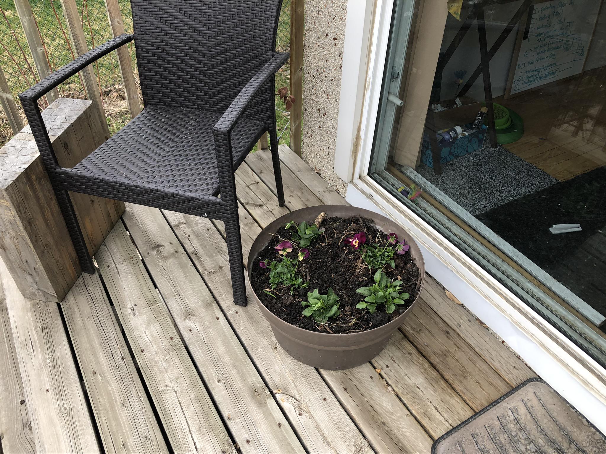 Working on the garden