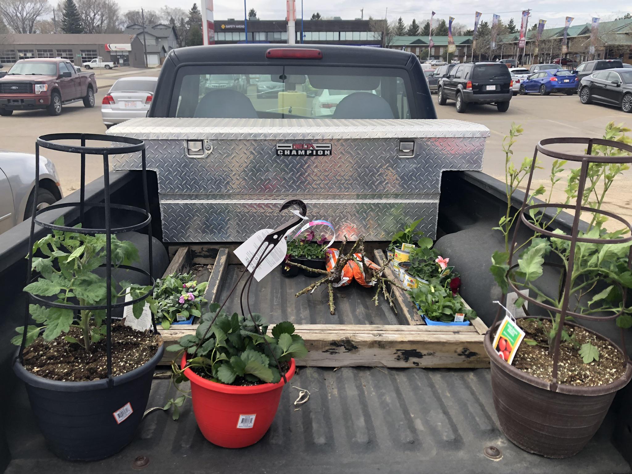 Working on the garden