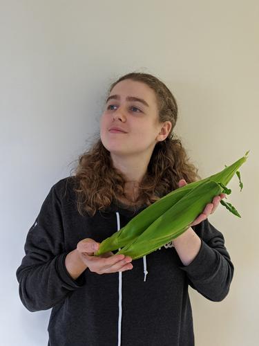 I grew two corn